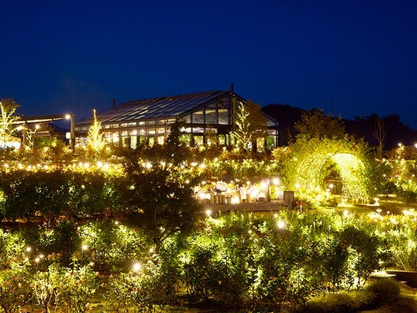 ■【茨城】一面が煌めく絶景★らぽっぽなめがたファーマーズヴィレッジで大学芋詰め放題&いばらきフラワーパーク「Moonlight Rose Garden」&地元で大人気のビュッフェランチ♪1